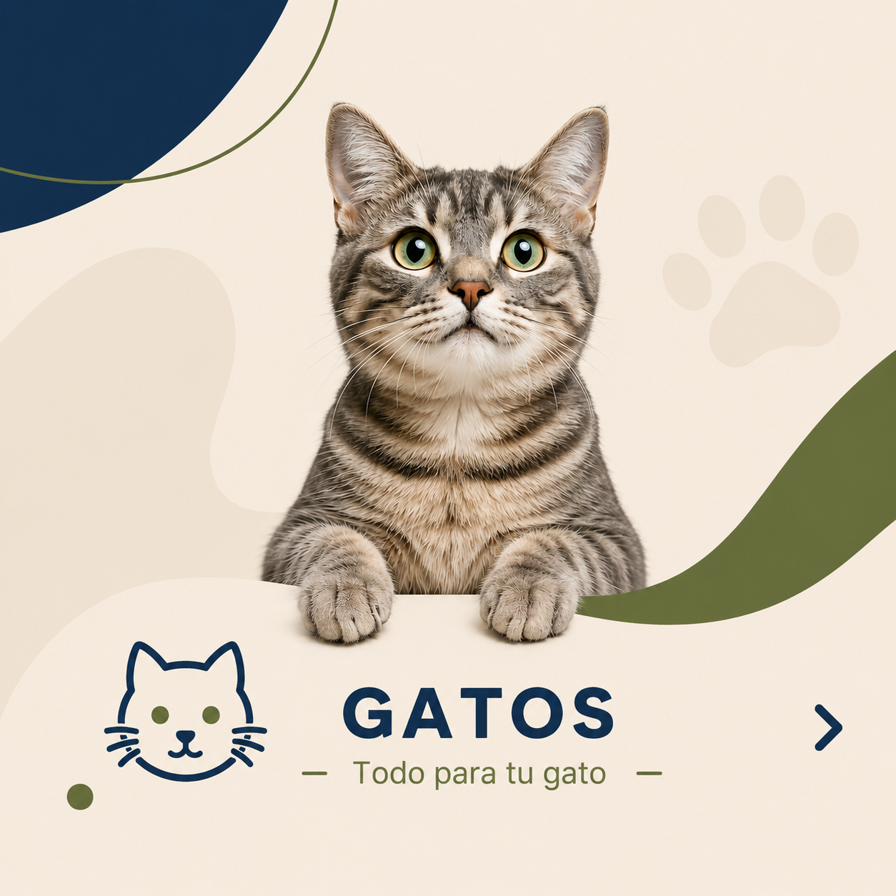 Inzoomos Veterinarios