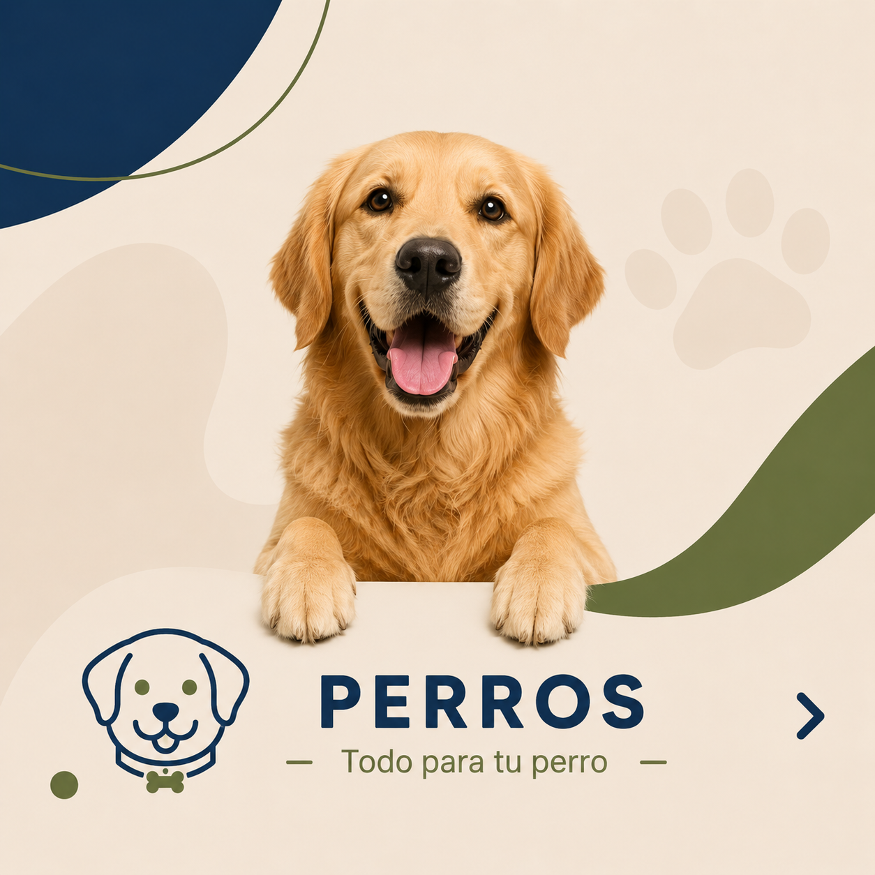 Inzoomos Veterinarios